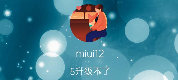 miui12.5升级不了 小米12能刷12.5系统吗？